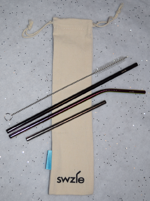 Reusable Stainless Steel Straws in Canvas Bag
